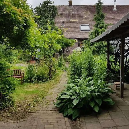 Achter Het Rode Hek *